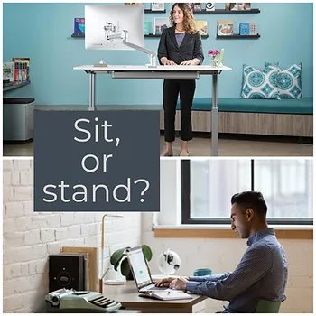 sit or stand